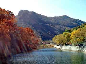 正版澳门天天开彩大全，塑胶地砖